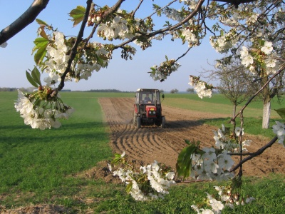 Traktor