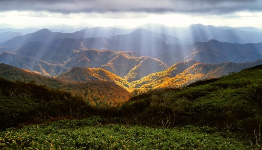 zdroj: www.pixabay.com, CCO volná licence