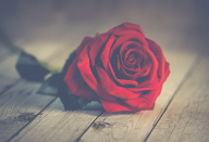 zdroj: pixabay.com, CCO zdroj: pixabay.com, CCO